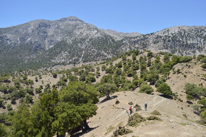 Private Trekking Rouvas Gorge - Key Highlights Worth Your Time