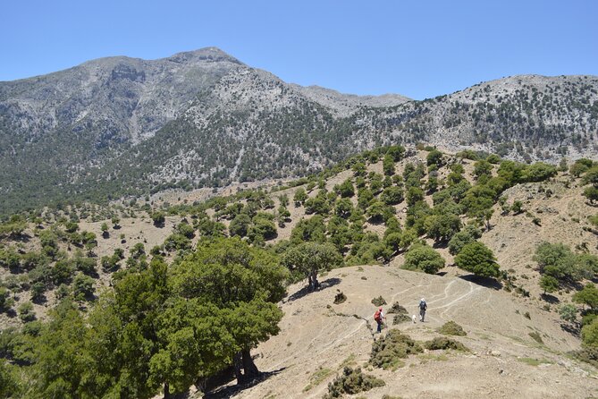 Private Trekking Rouvas Gorge - Agios Nikolaos Gorge: Riverbed Hiking, Waterfalls, and Spring Water