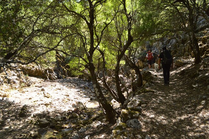 Private Trekking Rouvas Gorge - Ai Giannis Break: The Picnic Setup That Makes the Day Work