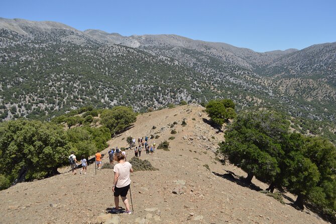 Private Trekking Rouvas Gorge - Price and Value for a Private Group Up to 6