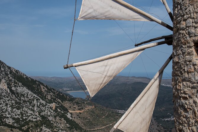 PRIVATE-Winery+Olive Oil Factory-Old Villages-Old Wind Mills - Winery Visit and Optional 20€ Wine Tasting: Go If You Want More