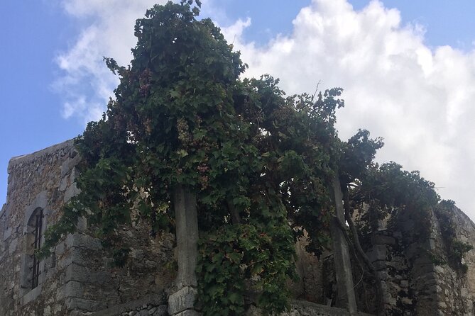PRIVATE-Winery+Olive Oil Factory-Old Villages-Old Wind Mills - What’s Included (and What Costs Extra)