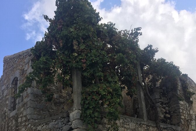 PRIVATE-Zeus Birthplace-Traditional Villages-Olive Oil Factory - Pickup, Comfort, and the Rhythm of a Full Day