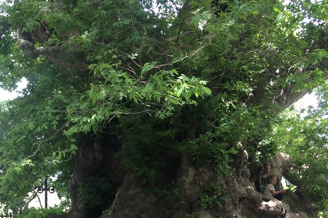 PRIVATE-Zeus Birthplace-Traditional Villages-Olive Oil Factory - Guide Quality: Where the Day Becomes Fun