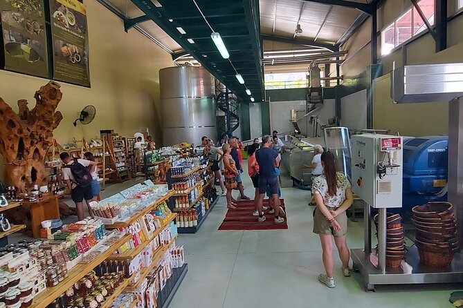 Quad Safari Off-Road Evening Tour - Lyrakis Family + olive oil factory: learning by doing, plus a taste