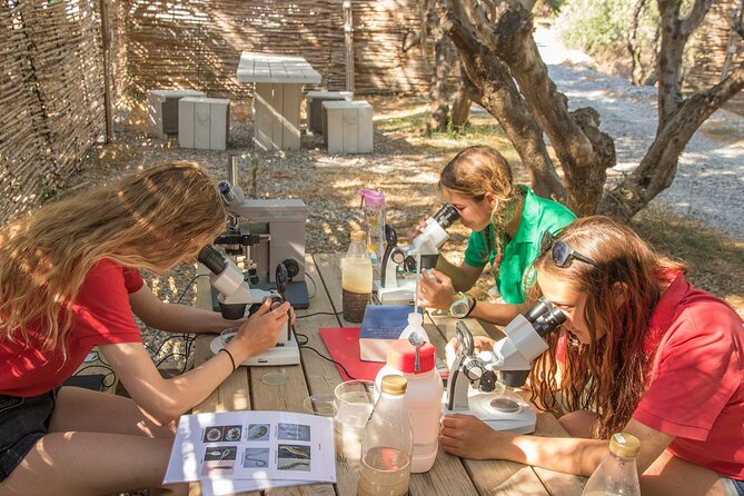 Research diving with a Marine Biologist in Crete - Who This Experience Fits Best in Crete