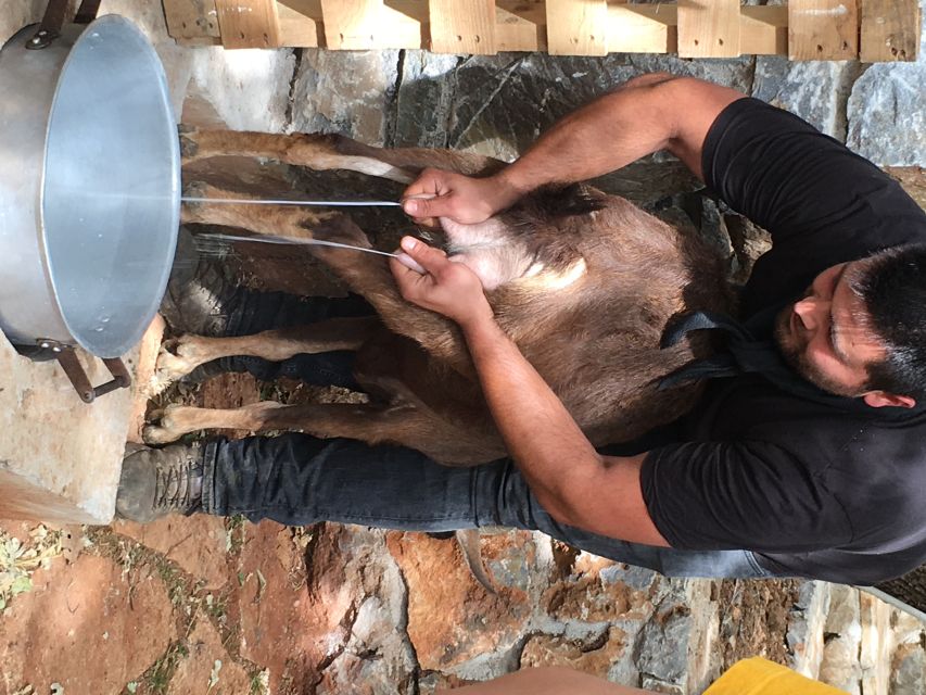 Rethymno 4x4 Safari: Tastes & Farm Experience - Key highlights you’ll feel in your day