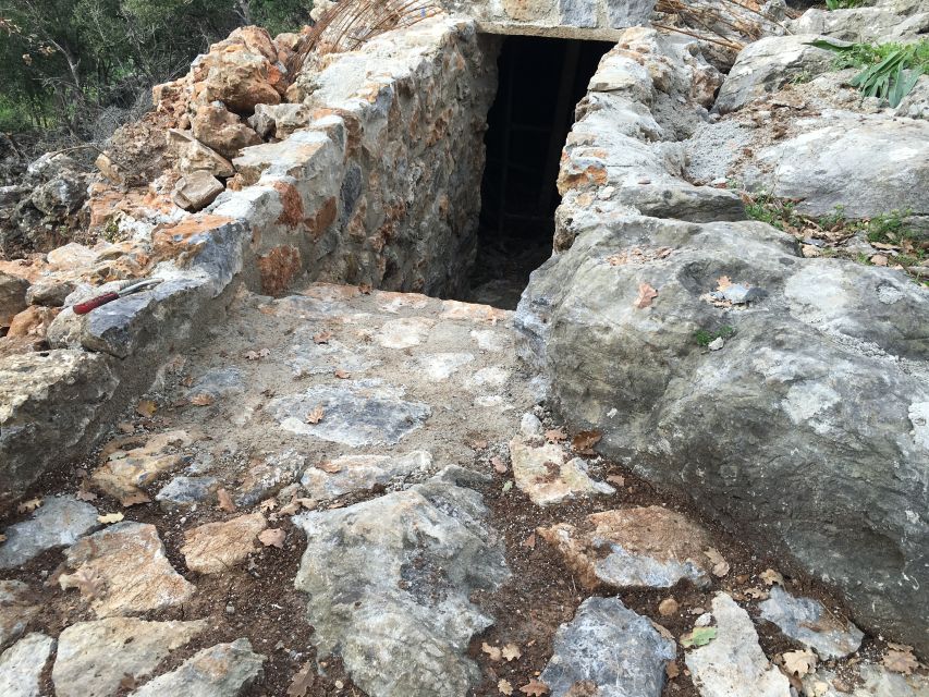 Rethymno 4x4 Safari: Tastes & Farm Experience - Klados Winery in Panormos: indigenous wine with a human guide