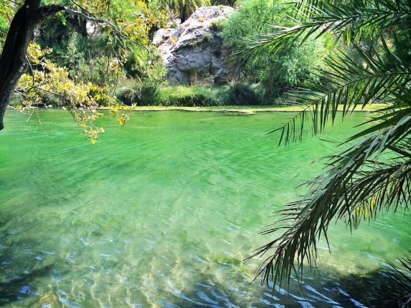 Rethymno/Chania: Preveli Beach and Kourtaliotiko Gorge Tour - The Damnoni and lunch breaks: where you can actually recharge