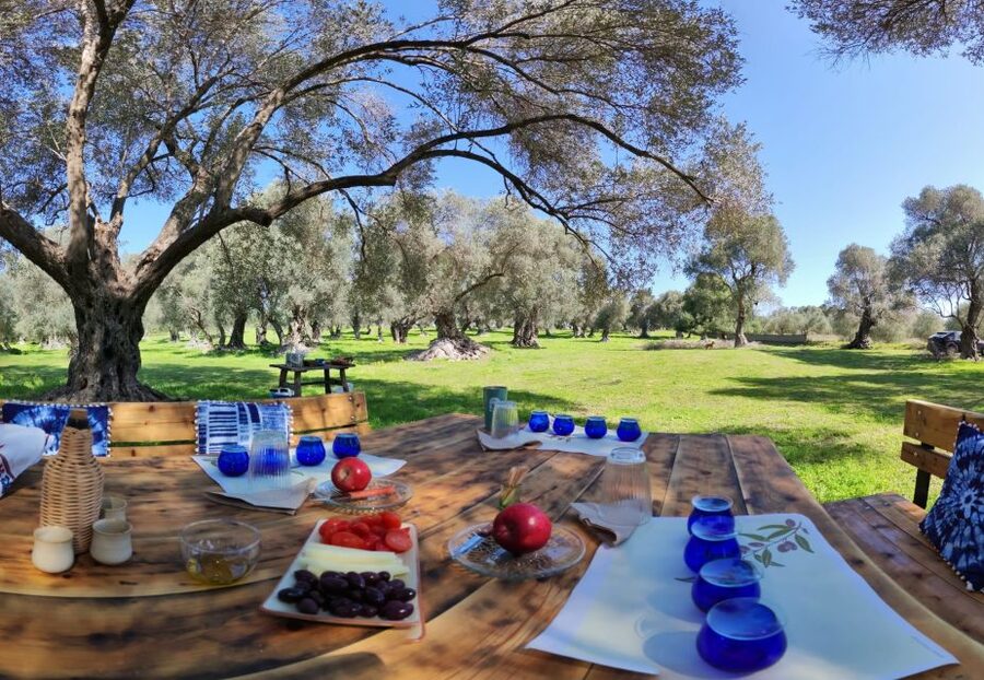 Rethymno: Olive Oil Tasting with Cretan Food Pairing - How to choose, preserve, and use olive oil at home