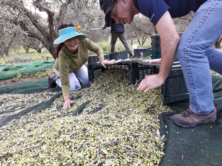 Rethymno: Olive Oil Tasting with Cretan Food Pairing - Value check: does $107 for 3 hours make sense?