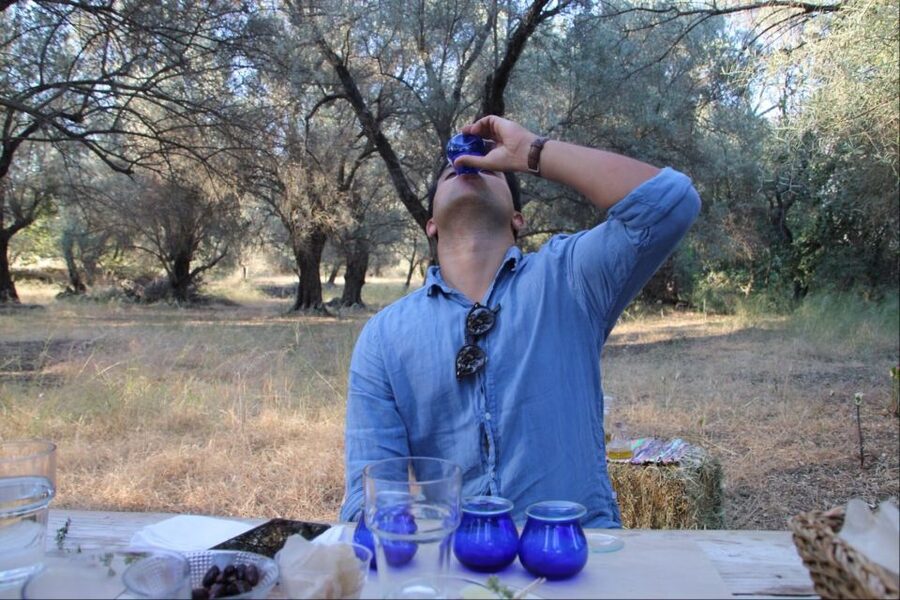 Rethymno: Olive Oil Tasting with Cretan Food Pairing - Who should book this olive oil tasting (and who might skip it)
