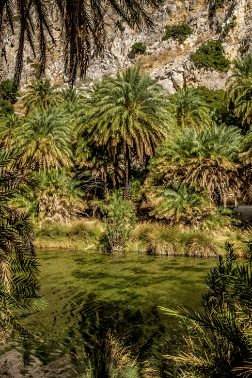 Rethymno: Preveli Palms, Damnioni & Plakia Beach & Canyon - Plakias Village: lunch, swim, and seaside wandering