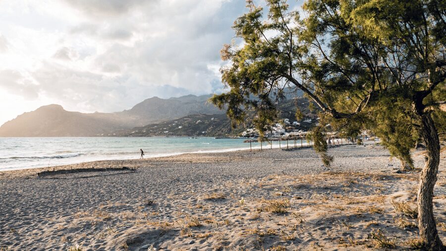 Rethymno: Preveli Palms, Damnioni & Plakia Beach & Canyon - Price and logistics: what you’re paying for, and what costs extra