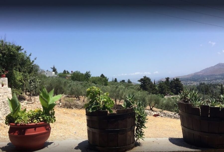 Rethymno: Private Winery & Olive Oil Tasting Tour with Lunch - Kanakis Olive Oil Mill: From Tree to Taste