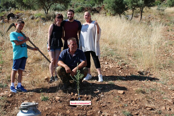 Rethymnon Olive Tree Sponsorship Protect and Plant Tour - Sponsorship or Planting: The Core Idea Behind This Olive Tour