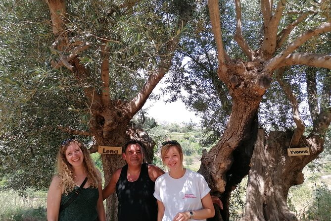 Rethymnon Olive Tree Sponsorship Protect and Plant Tour - Price, Timing, and Value in Real Life