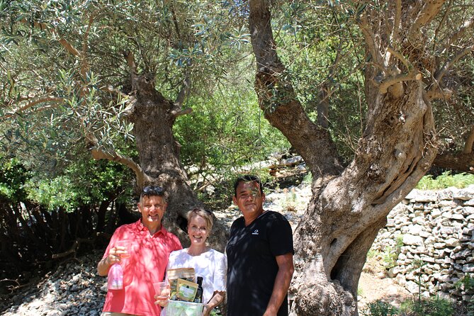 Rethymnon Olive Tree Sponsorship Protect and Plant Tour - Who This Fits Best (And Who Might Skip It)