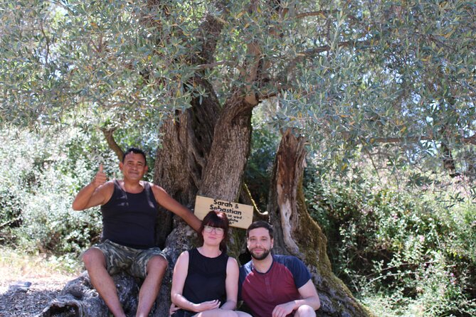 Rethymnon Olive Tree Sponsorship Protect and Plant Tour - Planting With the Cretan Lazarus Project: Why This Approach Matters