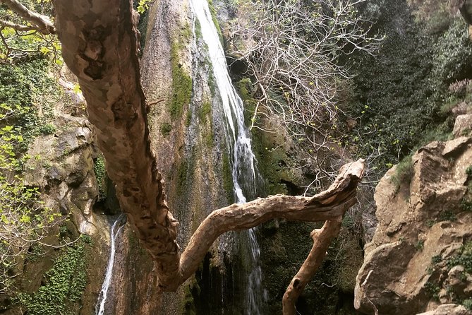 Richtis Waterfall, History, Azoria, OliveTasting, NorthCoast - Key highlights worth booking for
