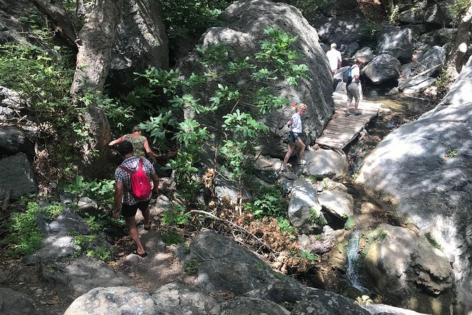 Richtis Waterfall, History, Azoria, OliveTasting, NorthCoast - Richtis Gorge: waterfall, swim, and what to watch for