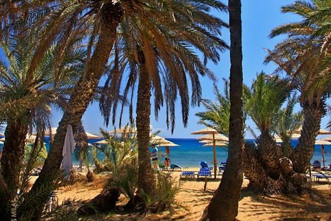 RIVIERA - Vai Palm Beach, Toplou Monastery - Key highlights worth your attention