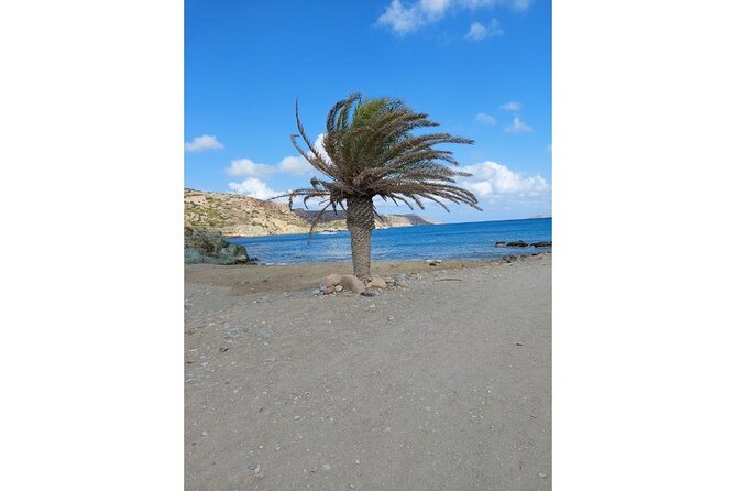 RIVIERA - Vai Palm Beach, Toplou Monastery - East Crete in one go: Agios Nikolaos to the Gulf of Mirabello
