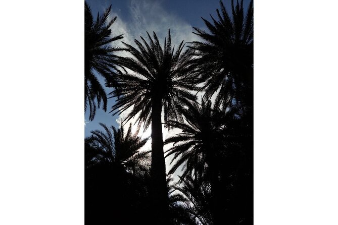 RIVIERA - Vai Palm Beach, Toplou Monastery - Vai Palm Forest and the beach: why this stop feels special