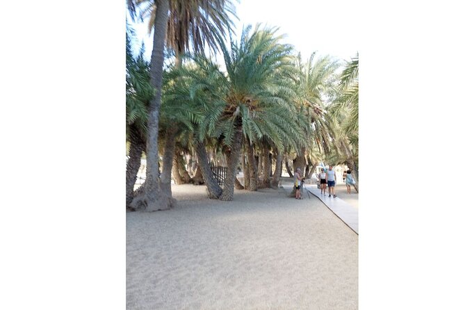 RIVIERA - Vai Palm Beach, Toplou Monastery - Platanos sunset stop: a gentle closer to the day