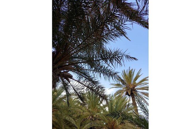 RIVIERA - Vai Palm Beach, Toplou Monastery - Price and logistics: does $107.17 make sense for what you get?