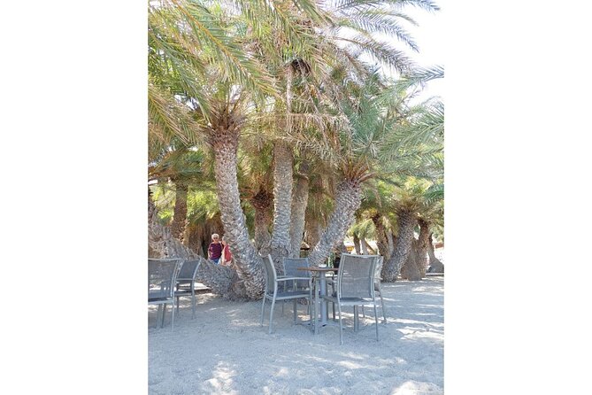 RIVIERA - Vai Palm Beach, Toplou Monastery - Who this tour fits best (and who might want a different plan)