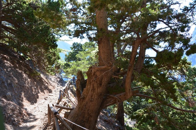 Samaria Gorge Hike - Why the Samaria Gorge Needs a Guide (Even If You Think You’re “Good at Trails”)