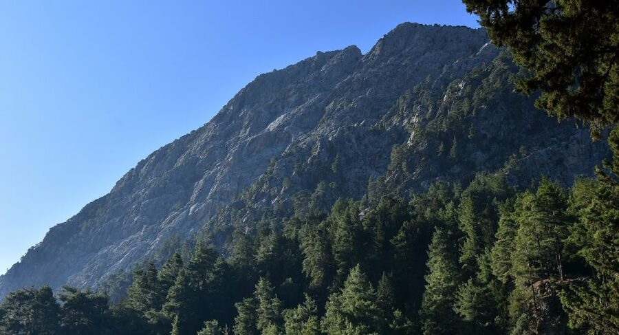 Samariá Gorge Hike: Day Excursion from Chania - Why Samariá Gorge feels like a real Crete day trip