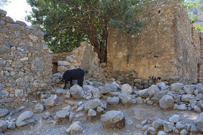 Samaria Gorge Hiking Tour from Chania with Professional Guide - Agia Roumeli: the payoff village with swim time