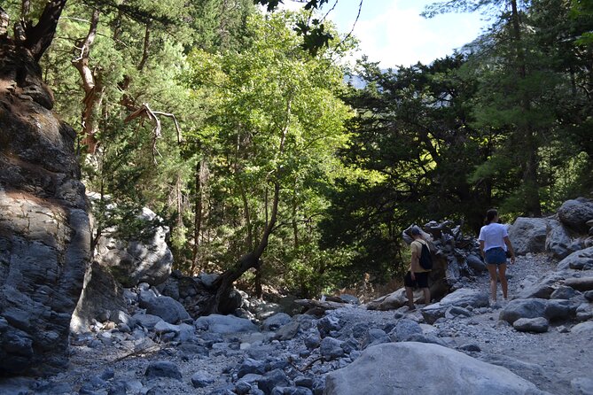 Samaria Gorge Hiking Tour from Chania with Professional Guide - Sougia beach and the late-day return to Chania
