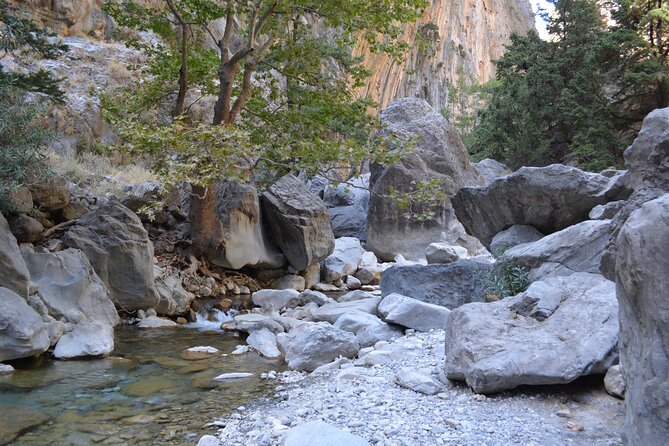 Samaria Gorge Hiking Tour from Chania with Professional Guide - Price and value: what you pay up front vs. pay on the bus