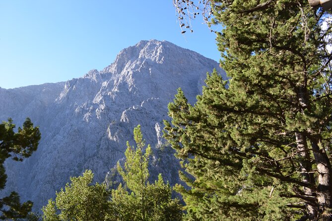 Samaria Gorge Hiking Tour from Chania with Professional Guide - Gear and pacing: the knee-savers you’ll be glad you brought
