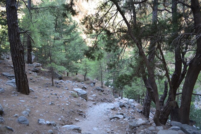 Samaria Gorge Hiking Tour from Chania with Professional Guide - Who should book this Samaria day tour, and who might not