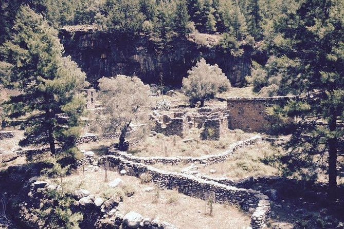 Samaria Gorge private Transfer from Chania (price per group of 6) - Price and Value: Is $532.56 Per Group Actually a Deal?