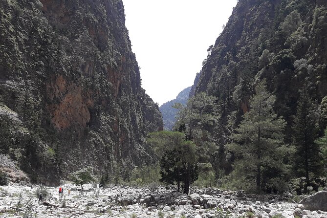 Samaria Gorge private Transfer from Chania (price per group of 6) - Agia Roumeli: Lunch, Swim, and Why This Stop Matters