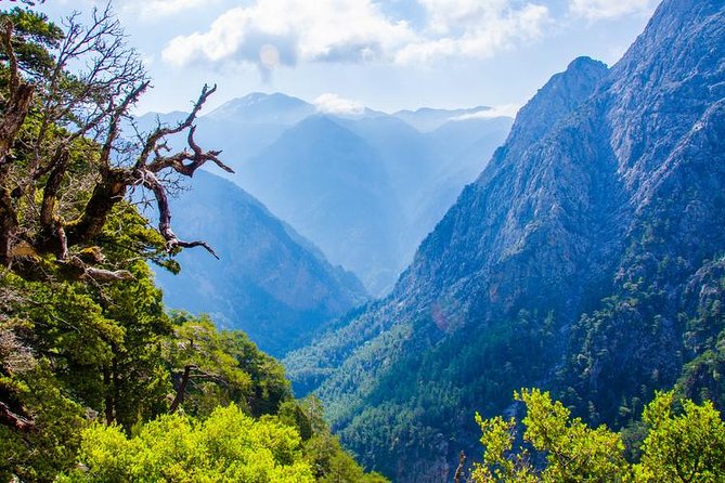 Samaria Gorge Tour from Chania - The Longest Gorge in Europe - What the guide actually does (and why it matters on a hard hike)