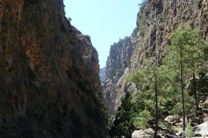Samaria Gorge Trek: Full-Day Excursion from Heraklion with Guide - Tickets, Timing, and Staying Sane About the Meeting Points