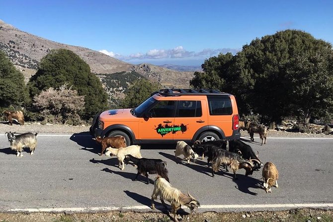Sarakina Gorge, Kritza, Oliveoil Tasting, Mountains, South Coast - A Land Rover Day Into Crete’s Rugged South Coast