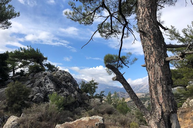 Sarakina Gorge, Kritza, Oliveoil Tasting, Mountains, South Coast - Paralia Myrtos After the Gorge: A Sea Swim to Reset