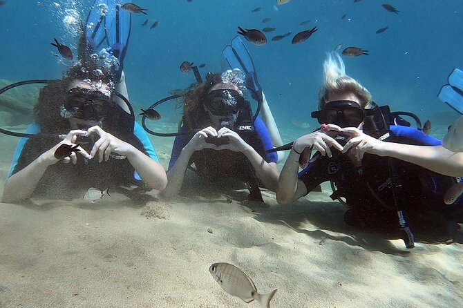 Scuba Diving for Beginners with a PADI Instructor near Heraklion - The House Reef, Fish, and Underwater Games (Yes, You’ll Have Fun)