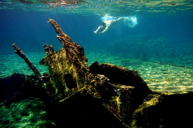 Sea Kayak & Snorkel tours in West Crete - Underwater sightings: the kind of wildlife you might spot