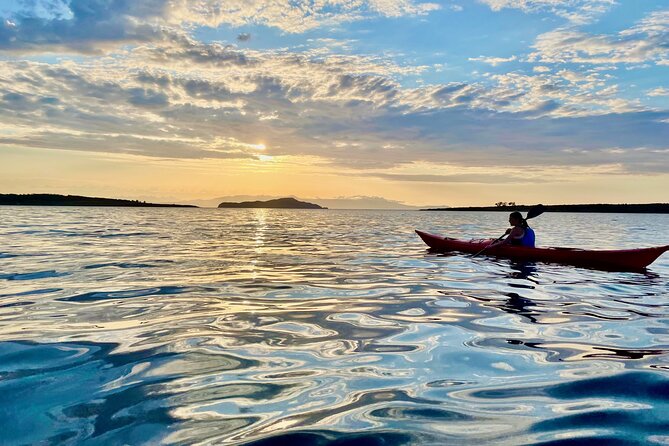 Sea Kayak Tour of Chania’s Old Venetian Port - Practical Tips for a Smooth Kayak Day in Chania
