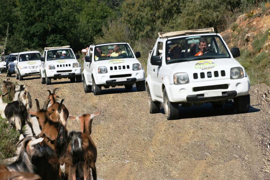 Self-Drive Jeep Safari to South Coast, Palm Beach & Canyons - Guide Dimitri: humor, herbs, and how to get more from the ride