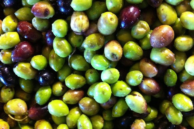Semi Private Wine and Olive Oil tour (Transfer & Lunch Incl.) - What you’re actually getting for the price