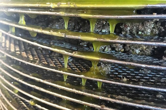 Semi Private Wine and Olive Oil tour (Transfer & Lunch Incl.) - Who this tour is best for (and who should skip it)